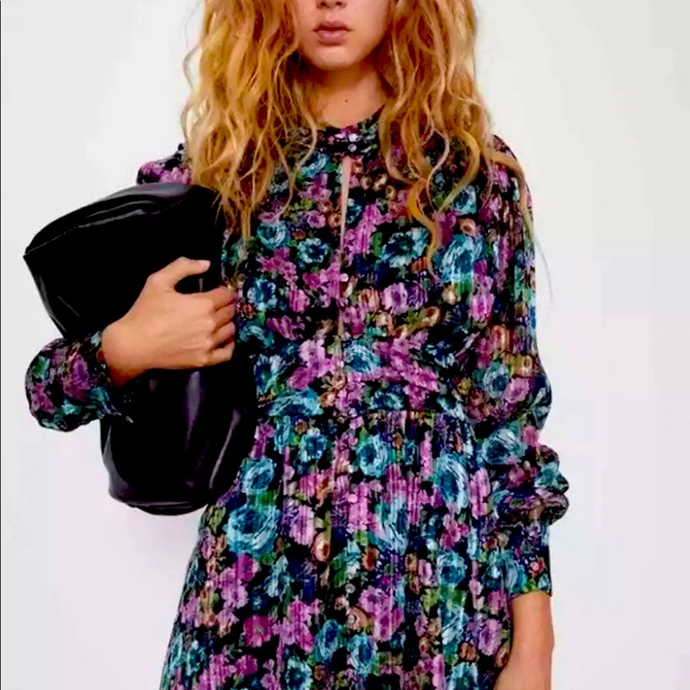 NWT Zara Floral Dress with Metallic Thread
